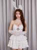 画像13: 【予約 / 9月下旬発送予定】【送料無料！】【ハロウィン】バニーレースビスチェセットアップ【コスプレ6点セット】【XS-Mサイズ/2カラー】[OF04]