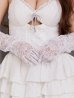 画像23: 【予約 / 9月下旬発送予定】【送料無料！】【ハロウィン】バニーレースビスチェセットアップ【コスプレ6点セット】【XS-Mサイズ/2カラー】[OF04]