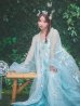 画像10: 【送料無料！】【ハロウィン】アイスブルー刺繍ロングシフォン漢服セット【コスプレ3点SET】【Fサイズ】【予約/8月下旬発送予定】[OF03]三上悠亜着用 (10)