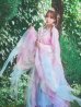 画像19: 【一部予約商品/8月下旬発送予定】【送料無料！】【ハロウィン】ピンク×ブルー花刺繍ロングシフォン漢服セット【コスプレ4点SET】【Fサイズ】[OF03]三上悠亜着用 (19)