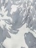 グレー