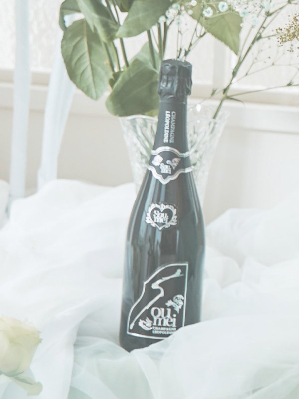 画像15: XS-Lサイズあり【SETTAN/セッタン】ワンカラー/ キャミソール/ 刺繍/ シアー/ ラメ/ プリーツ/ Aライン/ ロングドレス / キャバドレス long[OF2]