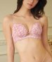 フローラルソルベ ホットリフトブラ：ピンク