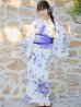 画像4: 【即日発送！】【浴衣】白地に水彩牡丹のクラシック浴衣 グラデーション帯 OBI-g-500-kj-9-NV / HIMO-900-yn-4-GYxGY / YA-953-kn-BL / YA-953-kn-NV / HEKO-800-sb-5-W / GETA-02-ok-3-LBL [YMT]