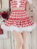 画像10: 【即日発送！】【サンタコス 5点セット】【XS-XLサイズ/2カラー】ギンガムチェックフレアサンタ[YMT]