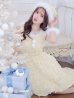 画像1: 【即日発送！】【サンタコス 4点セット】【S-Mサイズ/2カラー】立体ローズショートインスカートサンタコスプレ[YMT] (1)