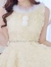 画像6: 【即日発送！】【サンタコス 4点セット】【S-Mサイズ/2カラー】立体ローズショートインスカートサンタコスプレ[YMT]