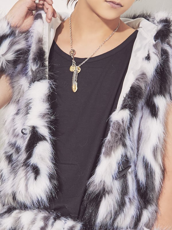 画像7: 【SALE!!】【即日発送】メンズウルフ/アニマルコスプレセット【sugar nineハロウィン4点セット】【Fサイズ/1カラー】【OF01】