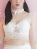 画像4: 【即日発送】【sugar nine×マリームーンコラボ】 セクシーレースバニーコスプレセット【sugar nineハロウィン7点セット】【S-Mサイズ/4カラー】[YMT]