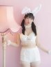画像6: 【即日発送】【sugar nine×マリームーンコラボ】 セクシーレースバニーコスプレセット【sugar nineハロウィン7点セット】【S-Mサイズ/4カラー】[YMT]