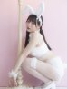 画像8: 【即日発送】【sugar nine×マリームーンコラボ】 セクシーレースバニーコスプレセット【sugar nineハロウィン7点セット】【S-Mサイズ/4カラー】[YMT]
