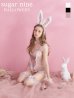 画像1: 【即日発送】セクシーレースバニーコスプレ【sugar nineハロウィン6点セット】【S-Lサイズ/3カラー】[YMT] (1)