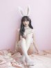 画像5: 【即日発送】セクシーレースバニーコスプレ【sugar nineハロウィン6点セット】【S-Lサイズ/3カラー】[YMT]