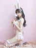 画像6: 【即日発送】セクシーレースバニーコスプレ【sugar nineハロウィン6点セット】【S-Lサイズ/3カラー】[YMT]