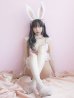 画像10: 【即日発送】セクシーレースバニーコスプレ【sugar nineハロウィン6点セット】【S-Lサイズ/3カラー】[YMT]