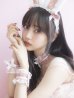 画像11: 【即日発送】セクシーレースバニーコスプレ【sugar nineハロウィン6点セット】【S-Lサイズ/3カラー】[YMT]