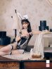 画像13: 【即日発送】セクシーレースバニーコスプレ【sugar nineハロウィン6点セット】【S-Lサイズ/3カラー】[YMT]