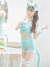 画像23: 【即日発送】【ハロウィン】【マリームーンコラボ】 セクシーレースキャット【コスプレ6点セット】【XS-L/7カラー】[YMT]