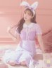 画像1: 【値下げ！】【即日発送】バニーレースワンピースコスプレ/マーメイドスカート【sugar nineハロウィン3点セット】【S-Lサイズ/2カラー】(SU220153)[YMT] (1)