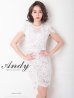 画像1: 【Andy ANDY Fashion Press 11 COLLECTION 09】フラワーレース/ シアー/ ハイネック/ タイト/ ミニドレス/ キャバドレス[OF05] (1)