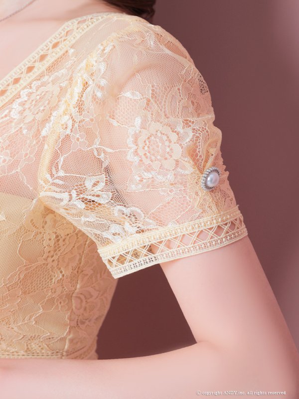 画像6: 【an/アン】総レース/ 半袖/ 袖あり/ ボタン/ ボックスプリーツ/ タイト/ ミニドレス/ キャバドレス[FB03]