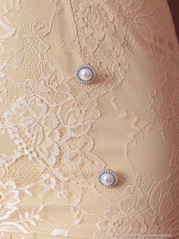 画像8: 【an/アン】総レース/ 半袖/ 袖あり/ ボタン/ ボックスプリーツ/ タイト/ ミニドレス/ キャバドレス[FB03]