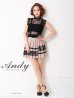 画像2: 【Andy ANDY Fashion Press 06 COLLECTION 07】レース/ ノースリーブ/プリーツ/ 切り替え/ タイト/ ミニドレス/ キャバドレス[OF05] (2)