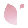 花びら4