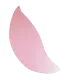 花びら4