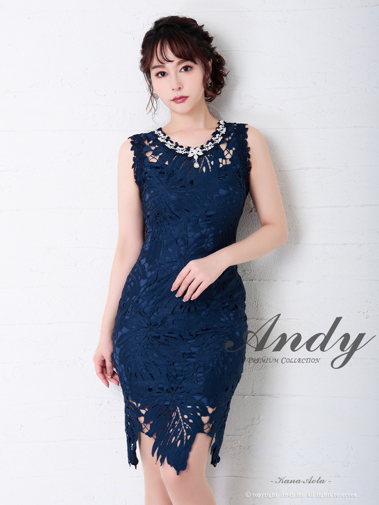 12月スーパーSALE ANDY 総レース ドレス ecousarecycling.com 12月スーパーSALE ANDY 総レース ドレス ecousarecycling.com