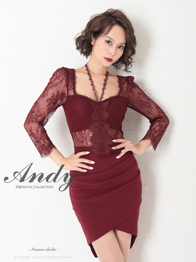 Andy Andy Fashion Press 08 Collection 03 長袖 レース シアー ワンカラー 袖あり タイト ミニ ドレス キャバドレス Andy Andy Fashion Press 08 Collection 03 長袖 レース シアー ワンカラー 袖あり タイト ミニ ドレス キャバドレス