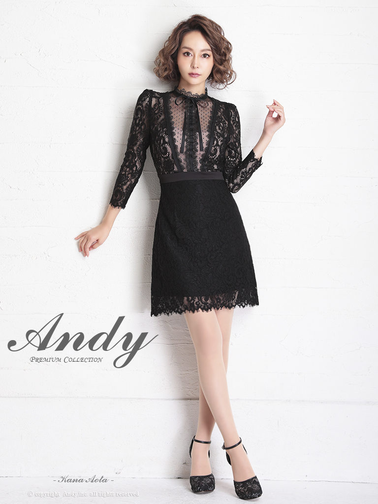 ANDY/アンディ】総レース/ ドットレース/ リボン/ 長袖/ 七分袖/ 袖 