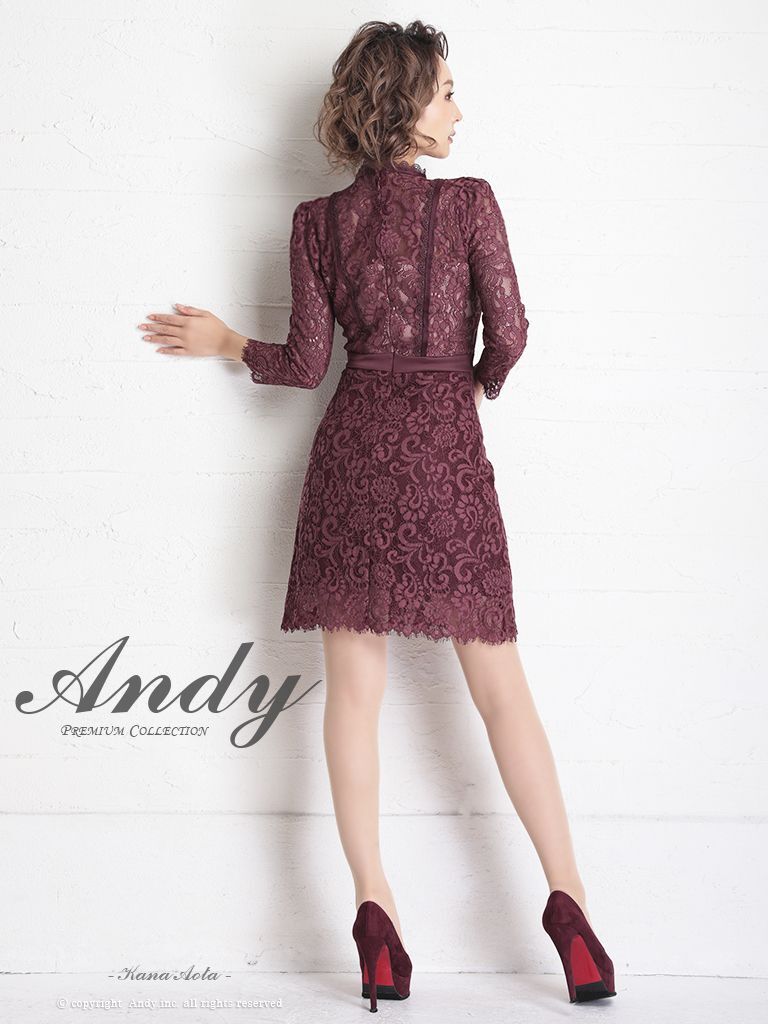 ANDY/アンディ】総レース/ ドットレース/ リボン/ 長袖/ 七分袖/ 袖 