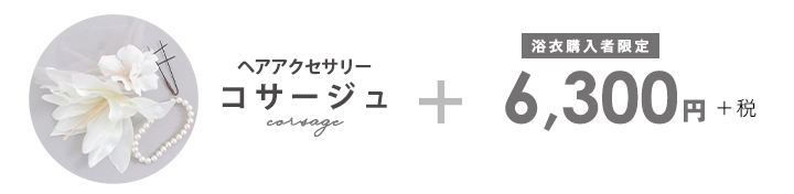 髪飾り1