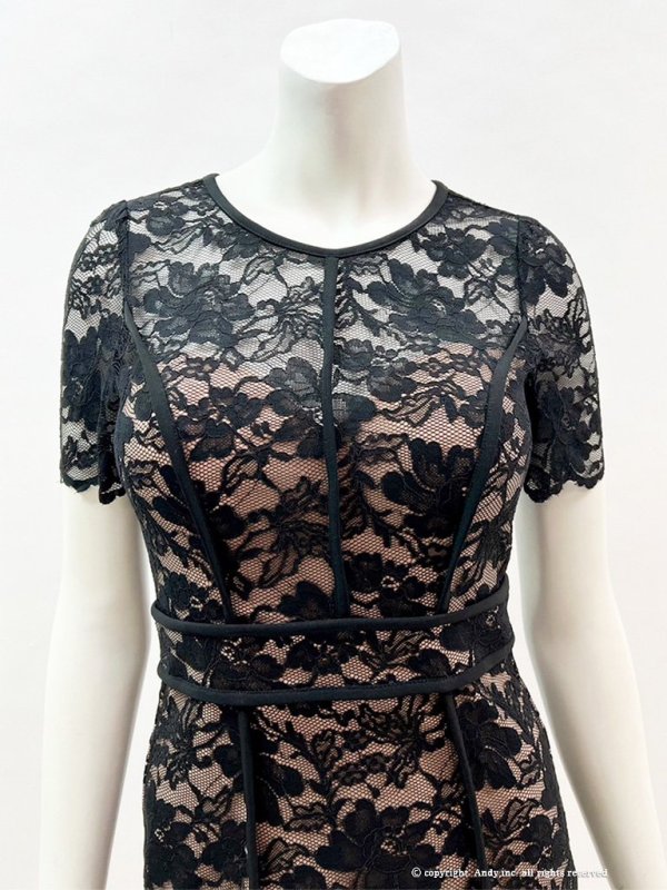 画像23: 【an/アン】総レース/ ショートスリーブ/ パイピング/ タイト/ ミニドレス/ キャバドレス[OF05] (23)