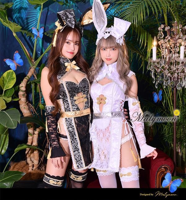 画像5: 【即日発送】チャイナバニーガール《高級コスランジェリー9点セット》【Dreamy Doll Premium/ドリーミードールプレミアム】【フリーサイズ/2カラー】[HC03] (5)
