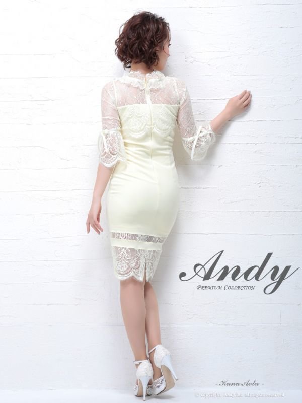 画像3: 訳あり商品☆レース破れ☆セール価格13,800円(税抜)より更に値引き【ANDY/アンディ】レースデザイン/七分袖/タイト[OF05] (3)