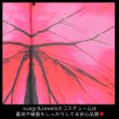画像15: 【値下げ！】【ハロウィン】フェスにもオススメ！インスタ映え確実な蝶々コスプレ【フリーサイズ/2カラー】（S709OMBRE BxP_BxBL）[YMT] (15)