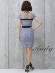 画像4: 【ANDY/アンディ】シースルー/ フラワーレース/ タイト/ミニドレス /キャバドレス[OF05] (4)