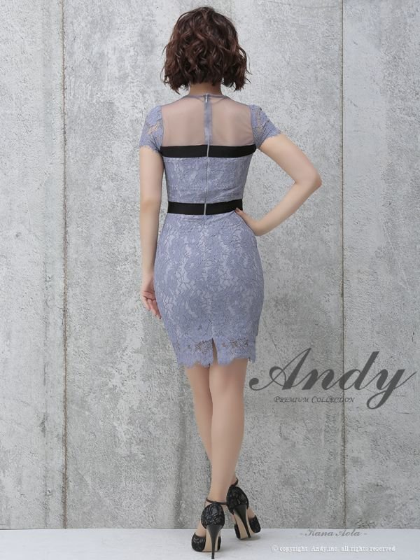 画像4: 【ANDY/アンディ】シースルー/ フラワーレース/ タイト/ミニドレス /キャバドレス[OF05] (4)