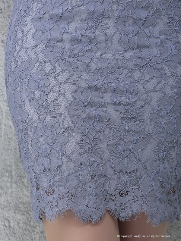 画像8: 【ANDY/アンディ】シースルー/ フラワーレース/ タイト/ミニドレス /キャバドレス[OF05] (8)