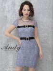 画像1: 【ANDY/アンディ】シースルー/ フラワーレース/ タイト/ミニドレス /キャバドレス[OF05] (1)