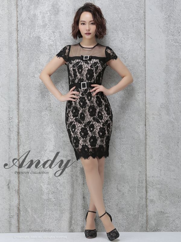 画像16: 【ANDY/アンディ】シースルー/ フラワーレース/ タイト/ミニドレス /キャバドレス[OF05] (16)