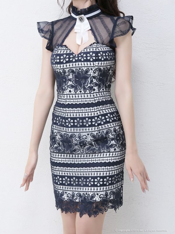 画像16: 【an/アン】 総レース/ リボンブローチ/ シアーレース/ フリルスリーブ/ タイト /キャバドレス[OF05] (16)