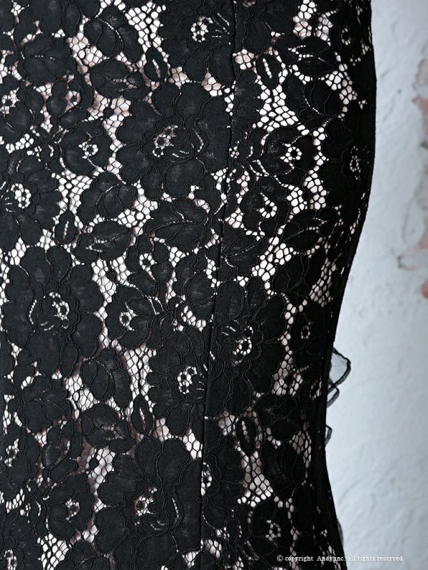 画像8: 【PREMIUM ANDY】パール/ ベア/ 総レース/ バックシャン/ ロング/ キャバドレス long[FB03] (8)