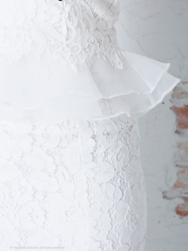 画像8: 【PREMIUM ANDY】パール/ ベア/ 総レース/ バックシャン/ ロング/ キャバドレス long[FB03] (8)