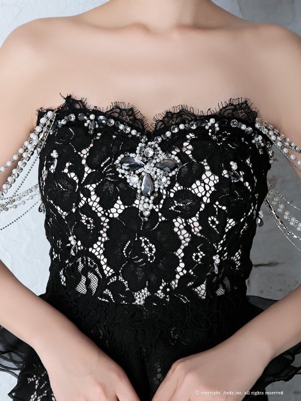 画像6: 【PREMIUM ANDY】パール/ ベア/ 総レース/ バックシャン/ ロング/ キャバドレス long[FB03] (6)