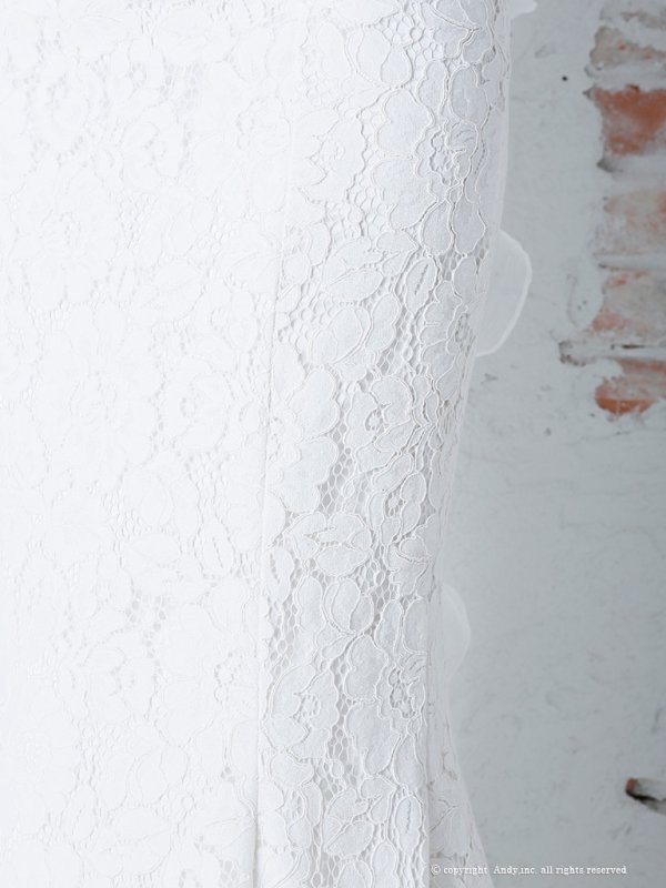 画像9: 【PREMIUM ANDY】パール/ ベア/ 総レース/ バックシャン/ ロング/ キャバドレス long[FB03] (9)