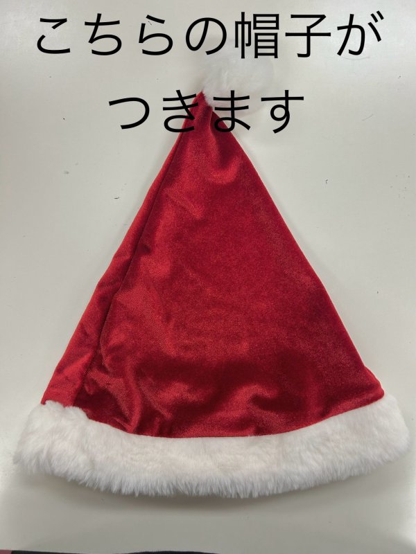 画像4: 【訳あり商品】※※Sサイズ：裏地に色移りあり//Mサイズ：帽子仕様違い※※【サンタコス 5点セット】ギンガムチェック セットアップフレアサンタコスプレ[OF03]BBB-8038SBdzc (4)