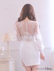 画像4: Lサイズあり【ROBE de FLEURS Glossy/ローブ・ド・フルール グロッシー】刺繍レース /チュールスリーブ/長袖 / タイト/ ミニドレス/ キャバドレス[OF2] (4)